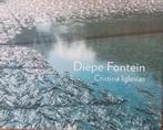 Christina Iglesias Diepe fontein KMSKA Antwerpen 2008 Daem, Boeken, Ophalen of Verzenden