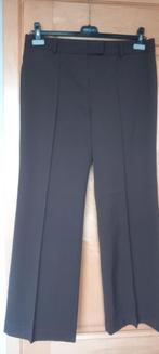 broek Natan MT46, Kleding | Dames, Ophalen, Bruin, Maat 46/48 (XL) of groter, Zo goed als nieuw