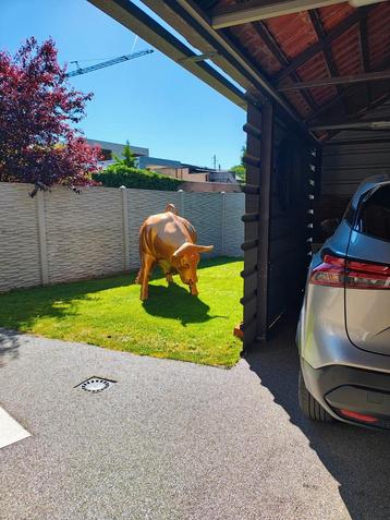 Design gouden stier beschikbaar voor biedingen