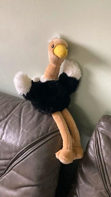 Handpop beschikbaar voor biedingen