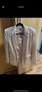 Kostuumjas Guess (broek ook mogelijk), Vêtements | Femmes, Vestes & Costumes, Enlèvement, Comme neuf