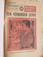 Roman " Een verborgen leven " ( Abraham Hans ), Boeken, Ophalen of Verzenden, Gelezen, België