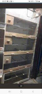 Kweekbakken, Enlèvement