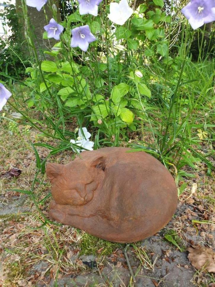 kat , poes , harriette, Tuin en Terras, Tuinbeelden, Nieuw, Ophalen of Verzenden