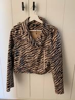 Perfecto zebra print large, Vêtements | Femmes, Comme neuf, Enlèvement ou Envoi