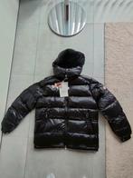 Moncler maya herenjas Large, Ophalen of Verzenden, Nieuw