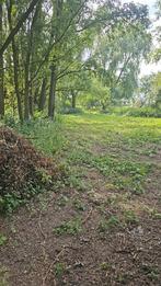 Stalling, paddock aangeboden, Dieren en Toebehoren, Weidegang, 4 paarden of pony's of meer
