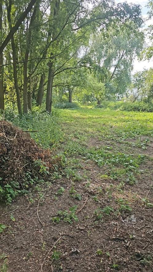 Stalling, paddock aangeboden, Dieren en Toebehoren, Stalling en Weidegang, Stalling, Weidegang, 4 paarden of pony's of meer