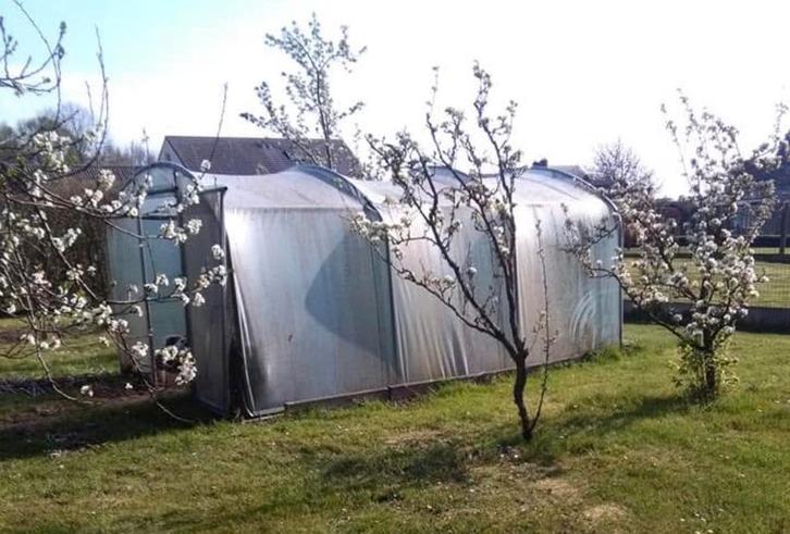 Filclair serre frame, Jardin & Terrasse, Verrières, Conservatoire, Enlèvement
