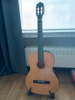 Gitaar met staander, Enlèvement