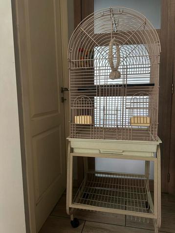 Grote kooi met complete accessoires beschikbaar voor biedingen
