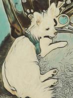 OP ZOEK NAAR EEN LANGHARIGE CHIHUAHUA TEEF, Ophalen