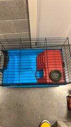 Cavia,konijnenkooi, Dieren en Toebehoren, Ophalen, Gebruikt, Kooi, Cavia
