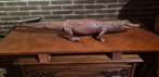 Amerikaanse alligator , opgezet exemplaar!, Ophalen, Gebruikt, Reptiel of Amfibie, Opgezet dier