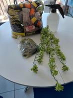 Gratis spullen terrarium, Ophalen, Zo goed als nieuw, Overige typen