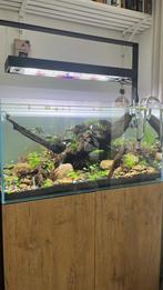 Aquael ultrascape 90 (compleet), Ophalen of Verzenden, Zo goed als nieuw