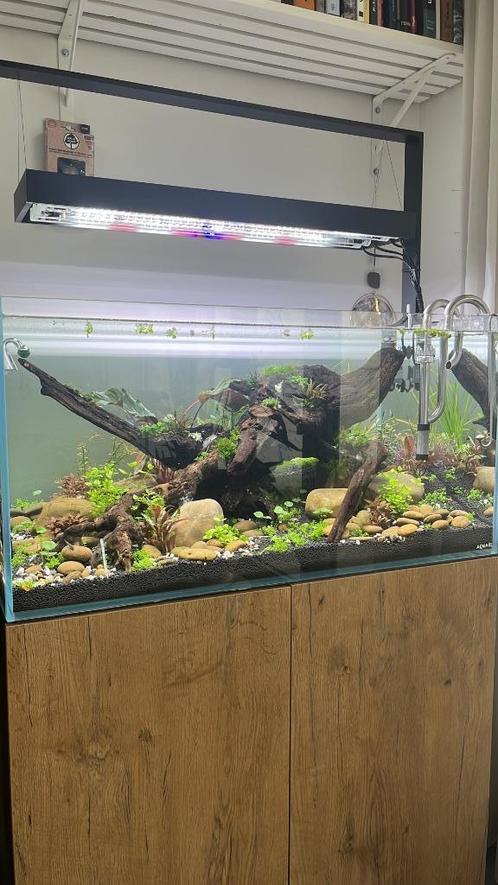 Aquael ultrascape 90 (compleet), Dieren en Toebehoren, Vissen | Aquaria en Toebehoren, Zo goed als nieuw, Ophalen of Verzenden