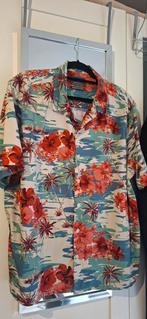 Hemd XL reg.fit. Primark, Enlèvement