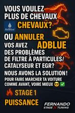 Reprogrammé Voiture Stage 123 Adblue Fab Egr immo off, Ophalen of Verzenden