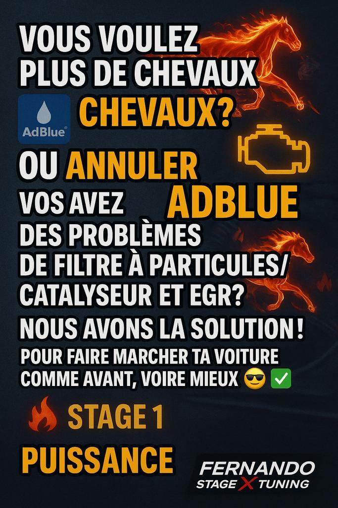 Reprogrammé Voiture Stage 123 Adblue Fab Egr immo off, Auto diversen, Auto-accessoires, Ophalen of Verzenden