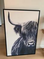 Mooie buffel op doek, Ophalen, Zo goed als nieuw