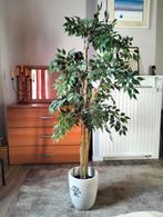 Grand ficus artificiel, Maison & Meubles, Enlèvement