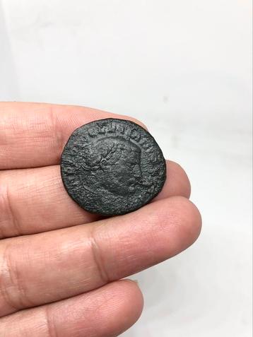 Romeinse munt CONSTANTIUS I CHLORUS AE Follis (Antiochië) beschikbaar voor biedingen