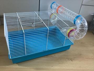 cage pour hamster