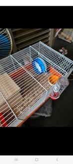Cage à hamster, Dieren en Toebehoren, Knaagdieren en Konijnen | Toebehoren