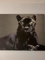 Cadre, Enlèvement, Comme neuf