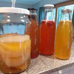 Scoby voor Kombucha + startvloeistof, Diversen, Levensmiddelen, Ophalen