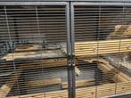 critter nation kooi, Dieren en Toebehoren, Ophalen, Kooi, Zo goed als nieuw, Hamster