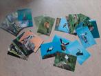 Lot de 33 cartes postales oiseaux, Collections, Enlèvement ou Envoi, Oiseaux