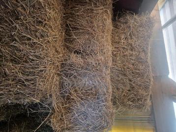 Kleine botten hooi te koop, Zakelijke goederen, Landbouw | Veevoer, Ophalen