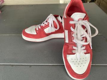sneakers lacoste beschikbaar voor biedingen