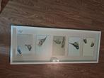 Kader vogeltjes, Antiek en Kunst, Ophalen