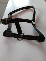 2 halsters + zweepje, Ophalen of Verzenden, Zo goed als nieuw