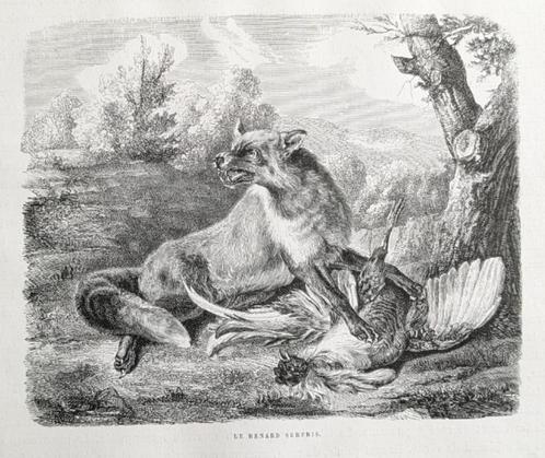 le renard surpris - gravure d'après Jean-Baptiste Oudry, Antiquités & Art, Art | Eaux-fortes & Gravures, Enlèvement ou Envoi