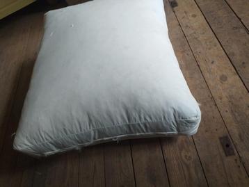Grands coussins en plumes pour canapés  beschikbaar voor biedingen