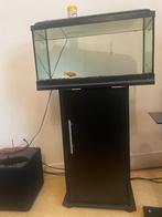 Aquarium éclairé  60L (60x30x30) avec meuble et accessoires, Zo goed als nieuw, Ophalen
