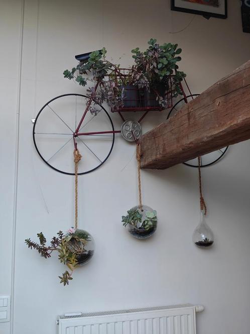 Decoratieve Fiets vol Groen – Wanddecoratie met Vetplanten, Antiek en Kunst, Kunst | Beelden en Houtsnijwerken, Ophalen