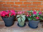 Lot de 3 plantes fleuries artificielles NOUVEAU, Maison & Meubles, Intérieur, Enlèvement ou Envoi, Neuf