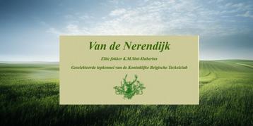 Liefhebberskennel Van de Nerendijk beschikbaar voor biedingen