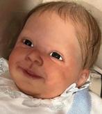 Reborn gererserveerd voor Peter, Ophalen