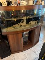 Aquarium te koop, Dieren en Toebehoren, Vissen | Aquaria en Toebehoren, Ophalen, Gebruikt, Leeg aquarium