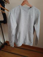 Pull Adidas, Kleding | Heren, Truien en Vesten, Ophalen, Zo goed als nieuw, Maat 46 (S) of kleiner, Addidas