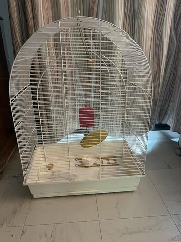 Vogelkooi beschikbaar voor biedingen