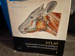 3 atlas d anatomie topographique des animaux domestiques, Boeken, Encyclopedieën, Medisch, Complete serie, Peter pepesko, Ophalen