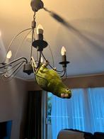 Perroquet d’amazonie à front jaune, Perroquet