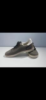 Basket garcon neuve 36 tape à l'œil, Enfants & Bébés, Vêtements enfant | Chaussures & Chaussettes, Neuf, Chaussures de sport, Garçon